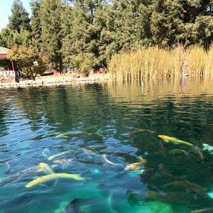 Meet your Posher, Adriana